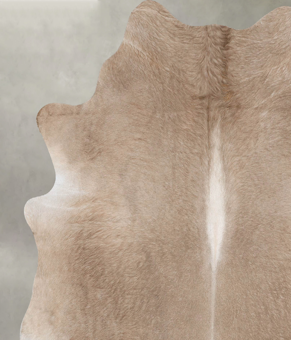 Champagne X-Large Brazilian Cowhide Rug 7'3"H x 6'4"W #B30335 by Hudson Hides