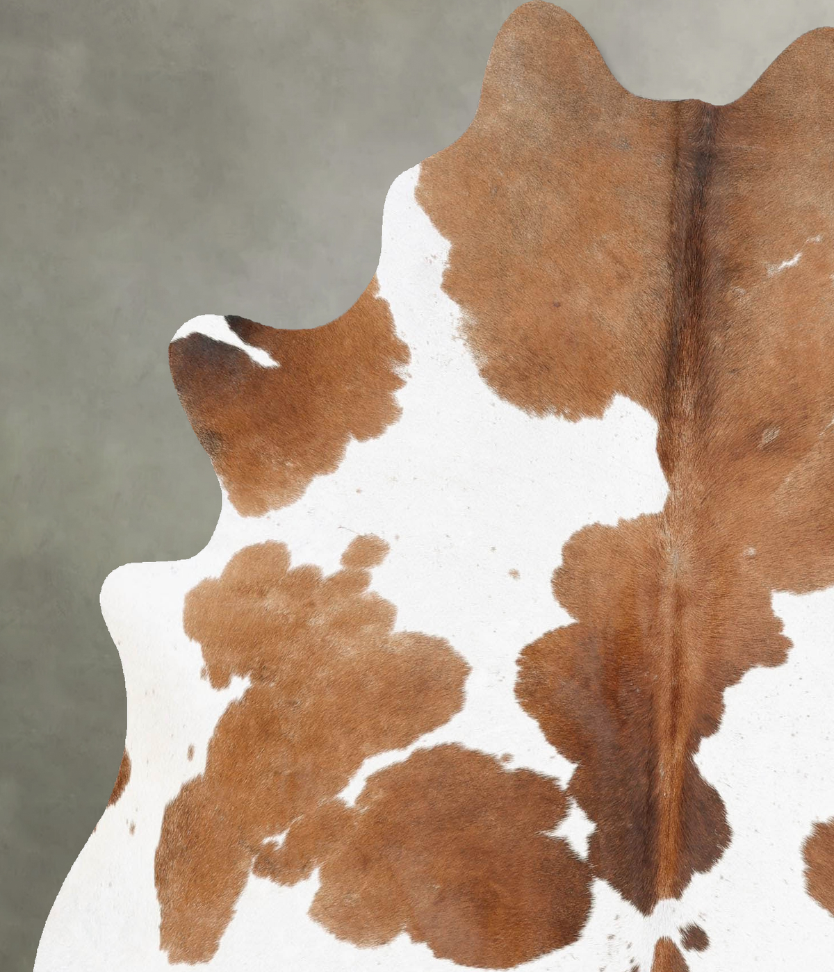 Brown and White Large Brazilian Cowhide Rug 6'7"H x 5'9"W #B30340 by Hudson Hides