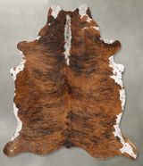 Medium Brindle X-Large Brazilian Cowhide Rug 7'9"H x 6'0"W #B30342 by Hudson Hides