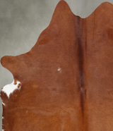 Solid Brown Large Brazilian Cowhide Rug 6'10"H x 5'2"W #B30345 by Hudson Hides