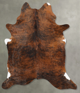 Medium Brindle X-Large Brazilian Cowhide Rug 7'0"H x 5'11"W #B30353 by Hudson Hides