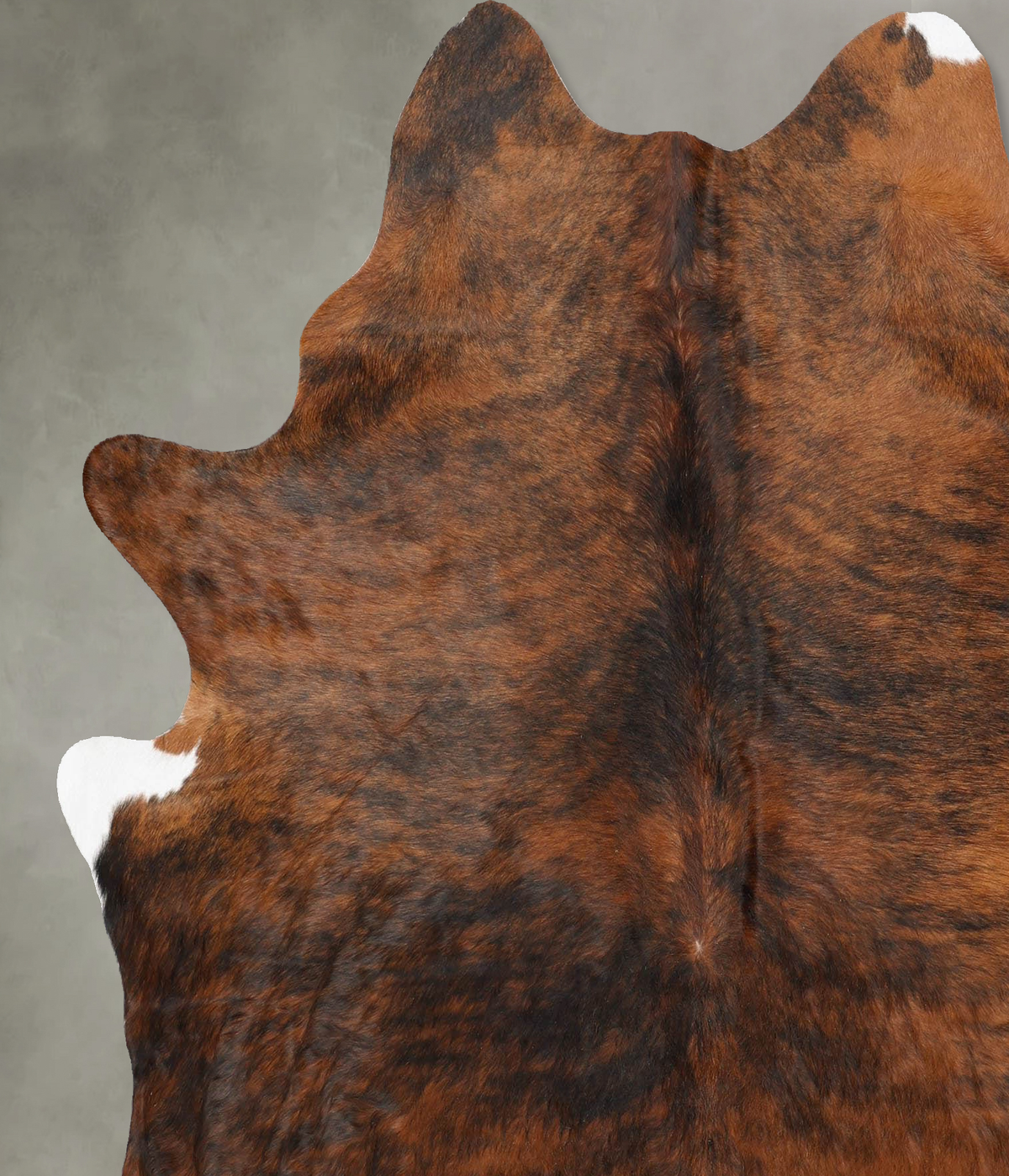 Medium Brindle X-Large Brazilian Cowhide Rug 7'0"H x 5'11"W #B30353 by Hudson Hides