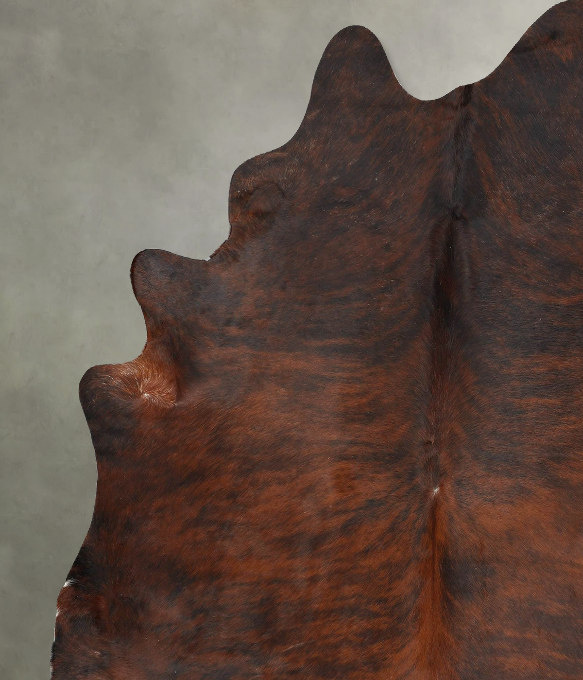 Dark Brindle XX-Large Brazilian Cowhide Rug 7'11"H x 6'6"W #B30359 by Hudson Hides
