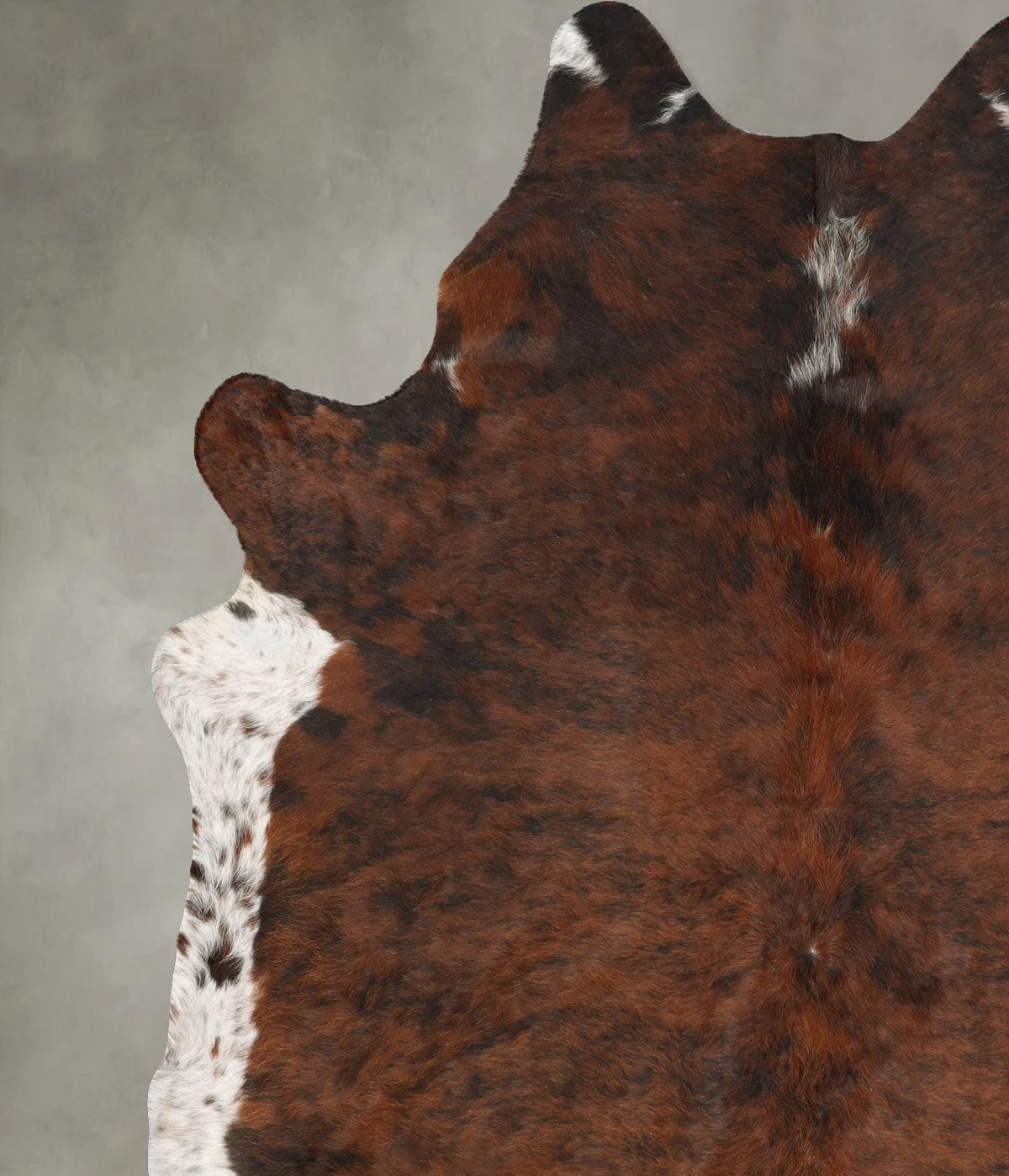 Medium Brindle XX-Large Brazilian Cowhide Rug 7'11"H x 6'9"W #B30365 by Hudson Hides
