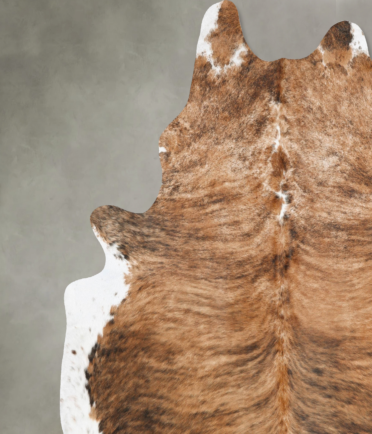 Medium Brindle XX-Large Brazilian Cowhide Rug 9'2"H x 7'8"W #B30366 by Hudson Hides