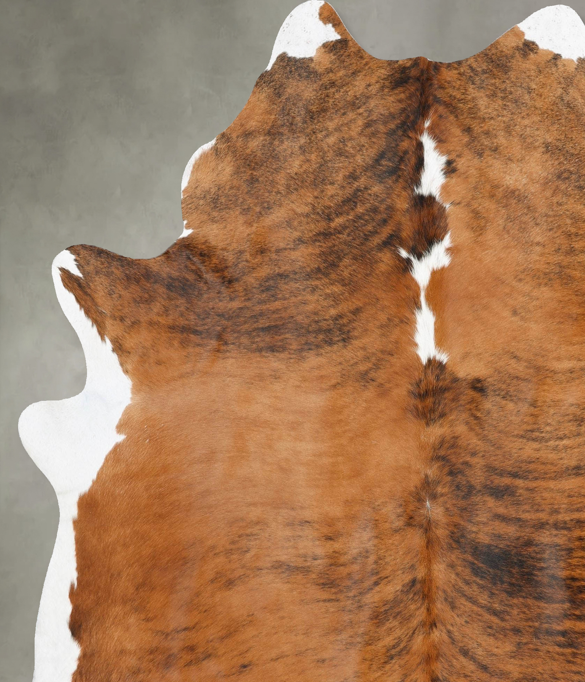Medium Brindle XX-Large Brazilian Cowhide Rug 7'11"H x 6'7"W #B30369 by Hudson Hides