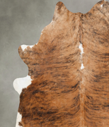 Medium Brindle XX-Large Brazilian Cowhide Rug 8'7"H x 7'5"W #B30372 by Hudson Hides