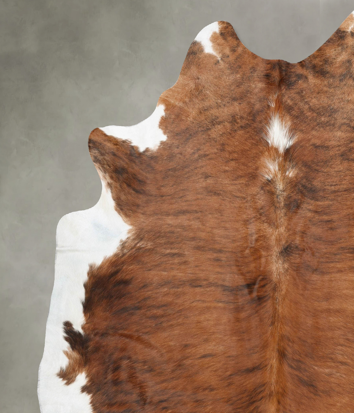 Medium Brindle XX-Large Brazilian Cowhide Rug 8'1"H x 6'11"W #B30376 by Hudson Hides