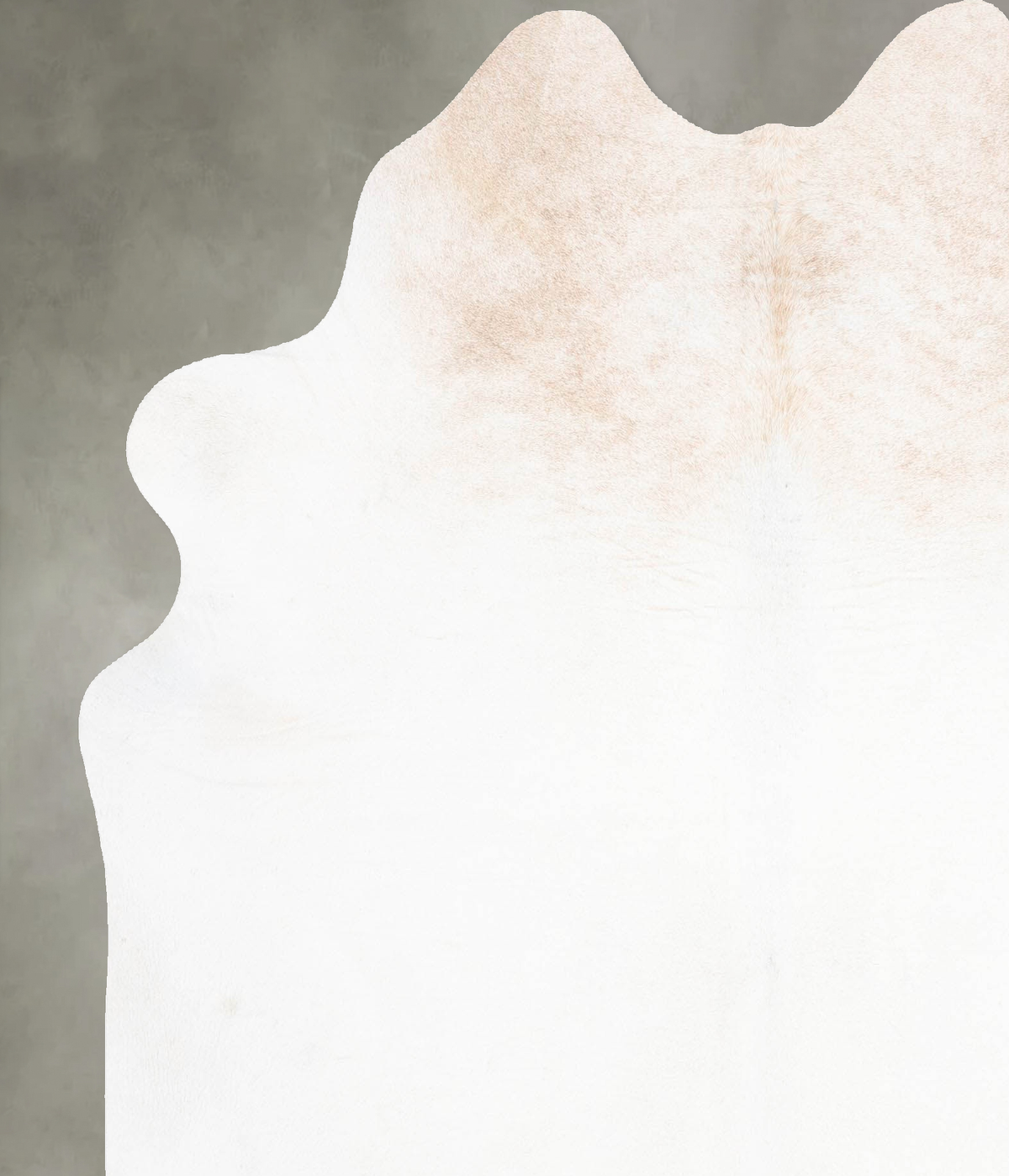 Ivory with Beige X-Large Brazilian Cowhide Rug 7'1"H x 6'2"W #B30379 by Hudson Hides