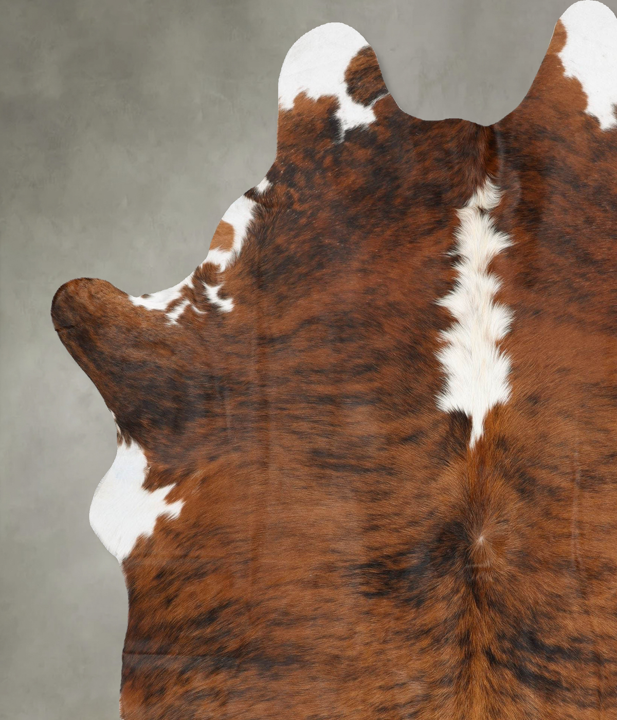 Medium Brindle XX-Large Brazilian Cowhide Rug 8'5"H x 6'5"W #B30388 by Hudson Hides