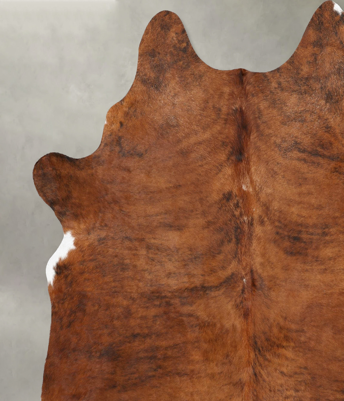 Medium Brindle X-Large Brazilian Cowhide Rug 7'7"H x 6'4"W #B30395 by Hudson Hides