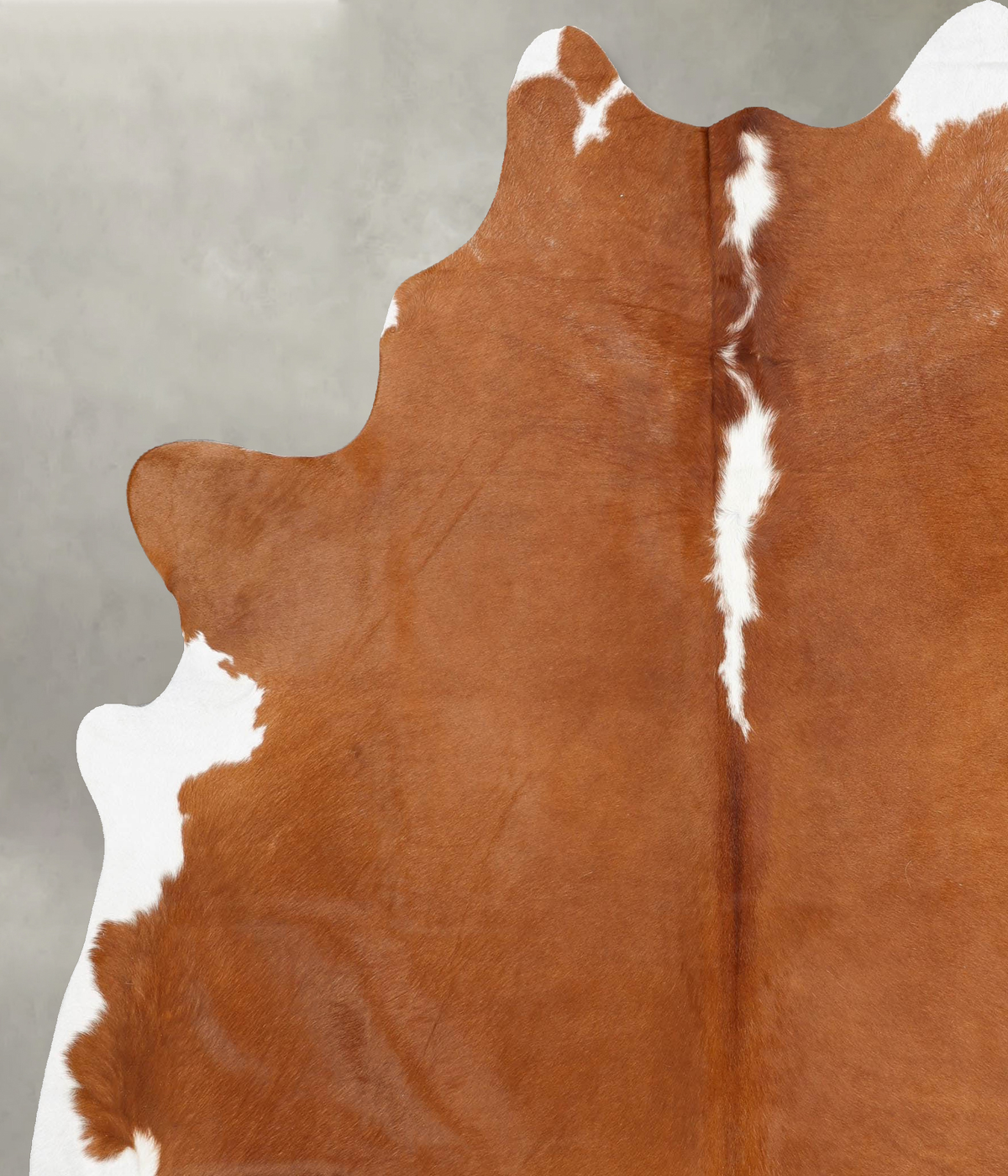 Brown and White Regular XX-Large Brazilian Cowhide Rug 8'4"H x 6'11"W #B30400 by Hudson Hides