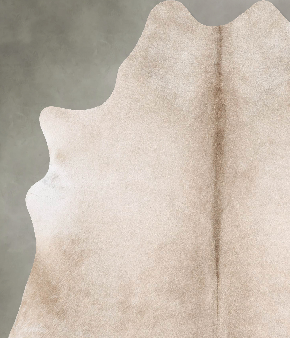 Champagne Large Brazilian Cowhide Rug 6'10"H x 5'9"W #B30403 by Hudson Hides
