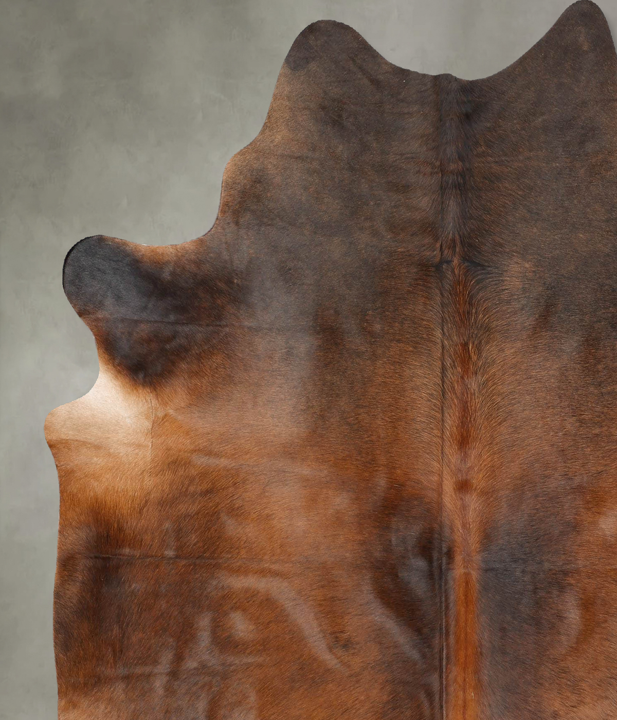 Warm Caramel Large Brazilian Cowhide Rug 6'10"H x 5'10"W #B30406 by Hudson Hides