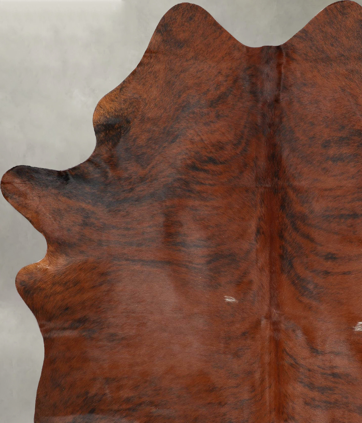 Medium Brindle X-Large Brazilian Cowhide Rug 7'8"H x 5'7"W #B30412 by Hudson Hides