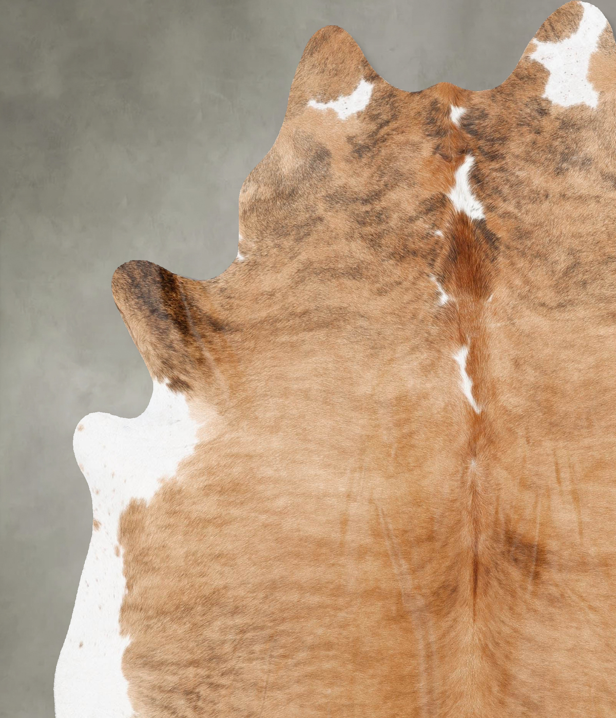 Medium Brindle X-Large Brazilian Cowhide Rug 7'4"H x 6'3"W #B30415 by Hudson Hides