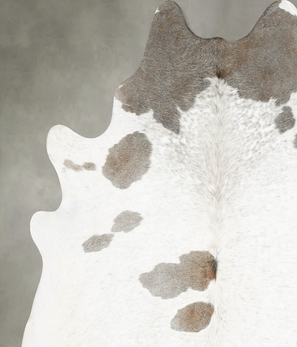 Ivory with Beige XX-Large Brazilian Cowhide Rug 8'3"H x 6'10"W #B30417 by Hudson Hides