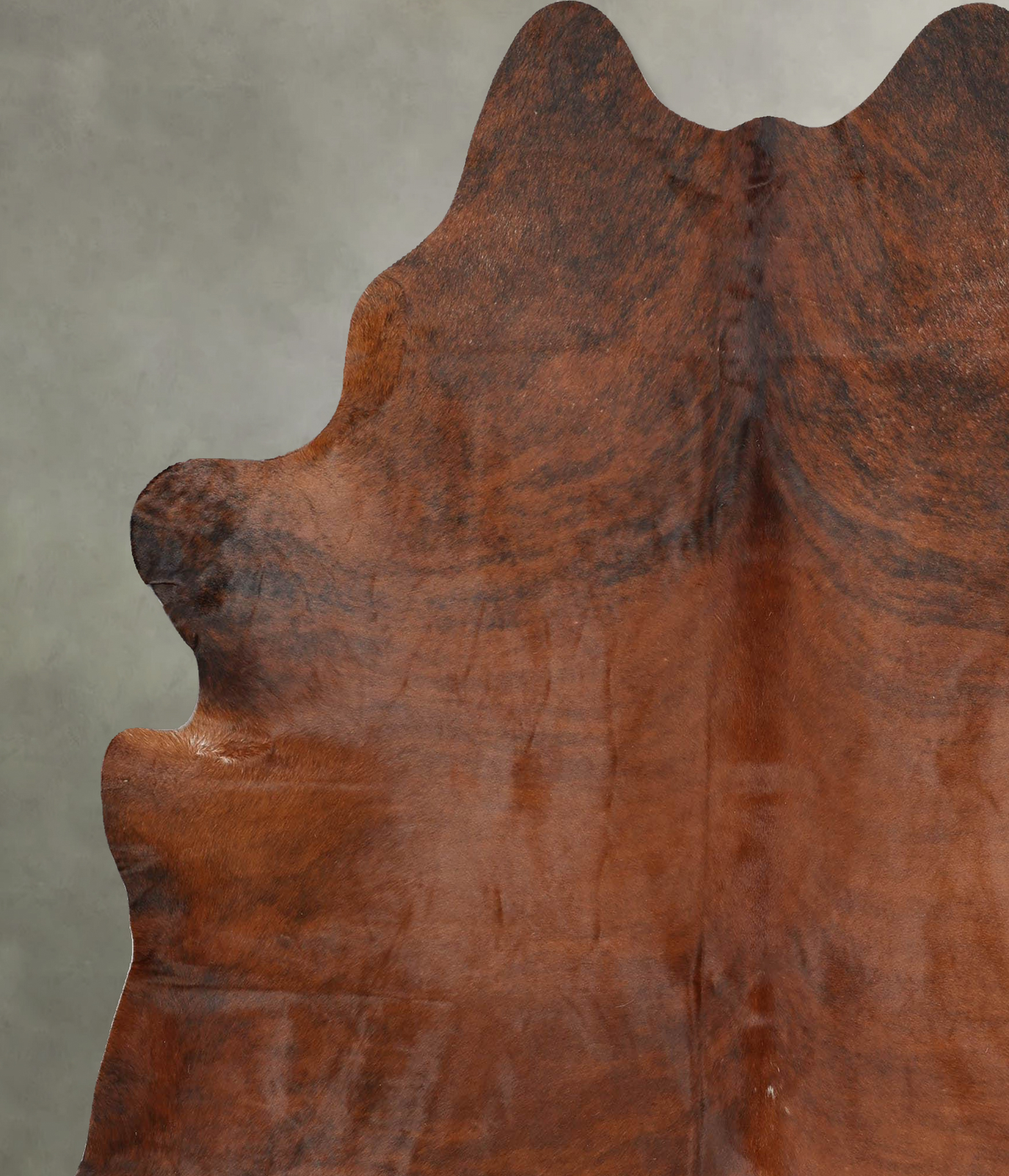 Medium Brindle XX-Large Brazilian Cowhide Rug 7'8"H x 6'9"W #B30424 by Hudson Hides
