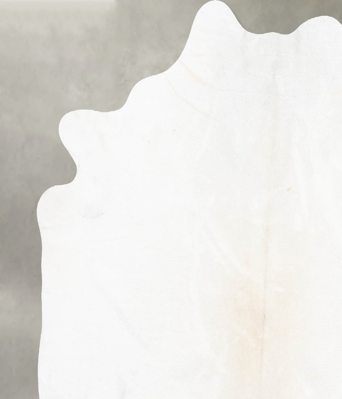Ivory with Beige X-Large Brazilian Cowhide Rug 7'6"H x 6'8"W #B30428 by Hudson Hides