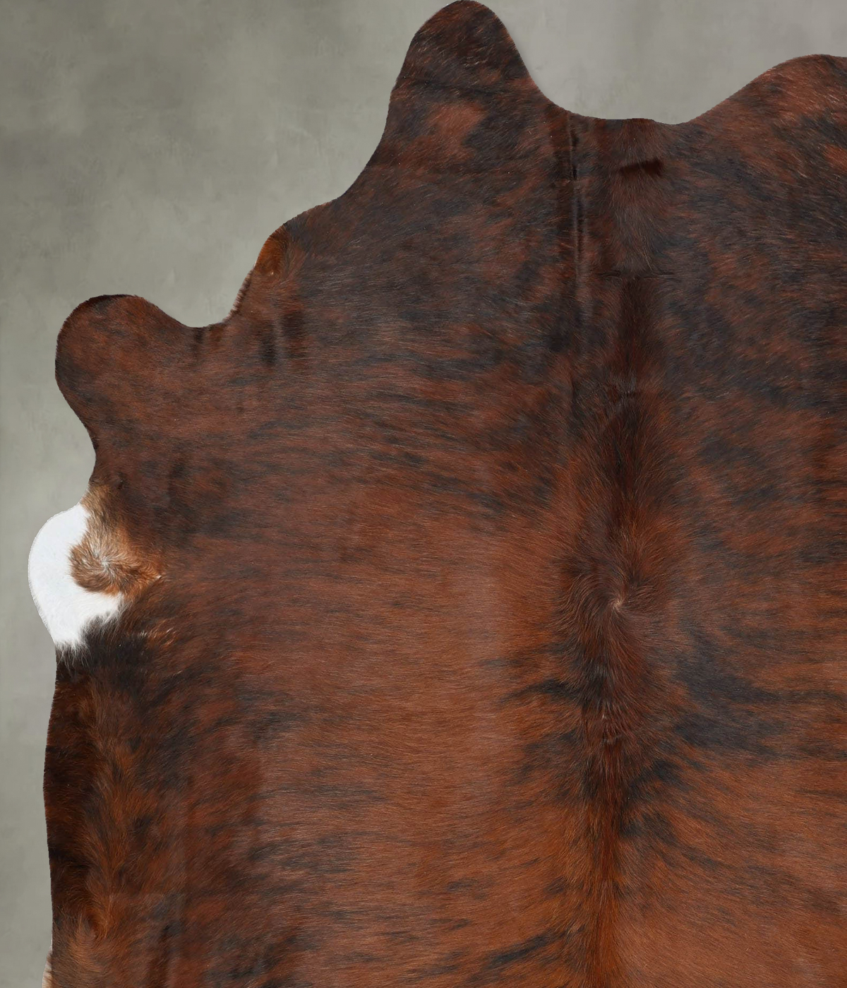 Medium Brindle X-Large Brazilian Cowhide Rug 7'9"H x 6'3"W #B30429 by Hudson Hides