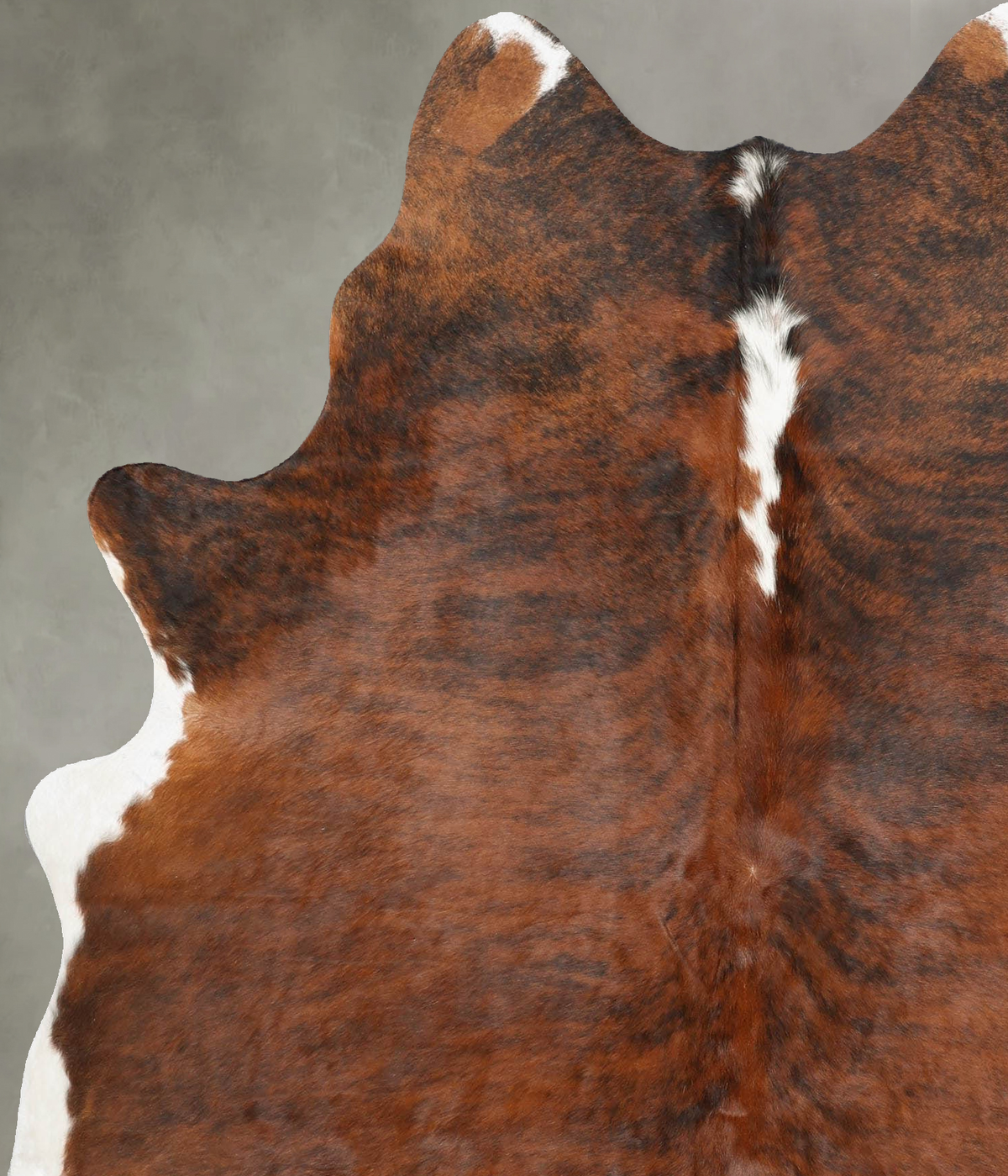Medium Brindle X-Large Brazilian Cowhide Rug 7'3"H x 5'10"W #B30430 by Hudson Hides