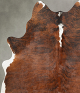 Medium Brindle X-Large Brazilian Cowhide Rug 7'3"H x 5'10"W #B30430 by Hudson Hides