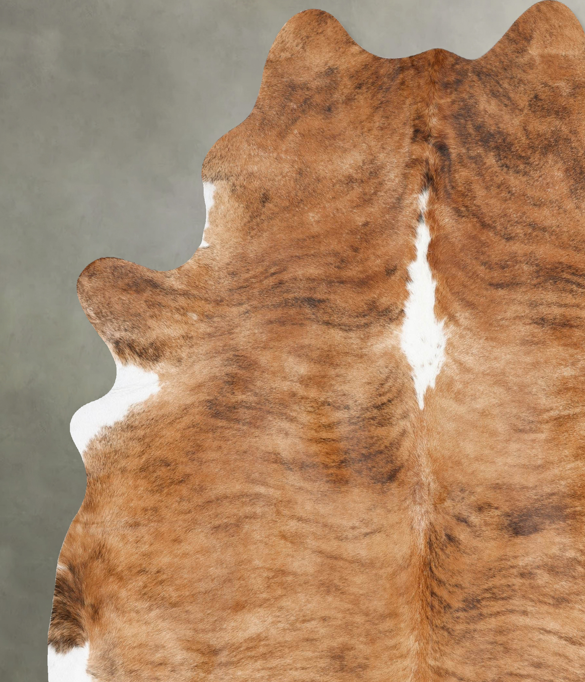 Medium Brindle XX-Large Brazilian Cowhide Rug 8'10"H x 7'1"W #B30433 by Hudson Hides