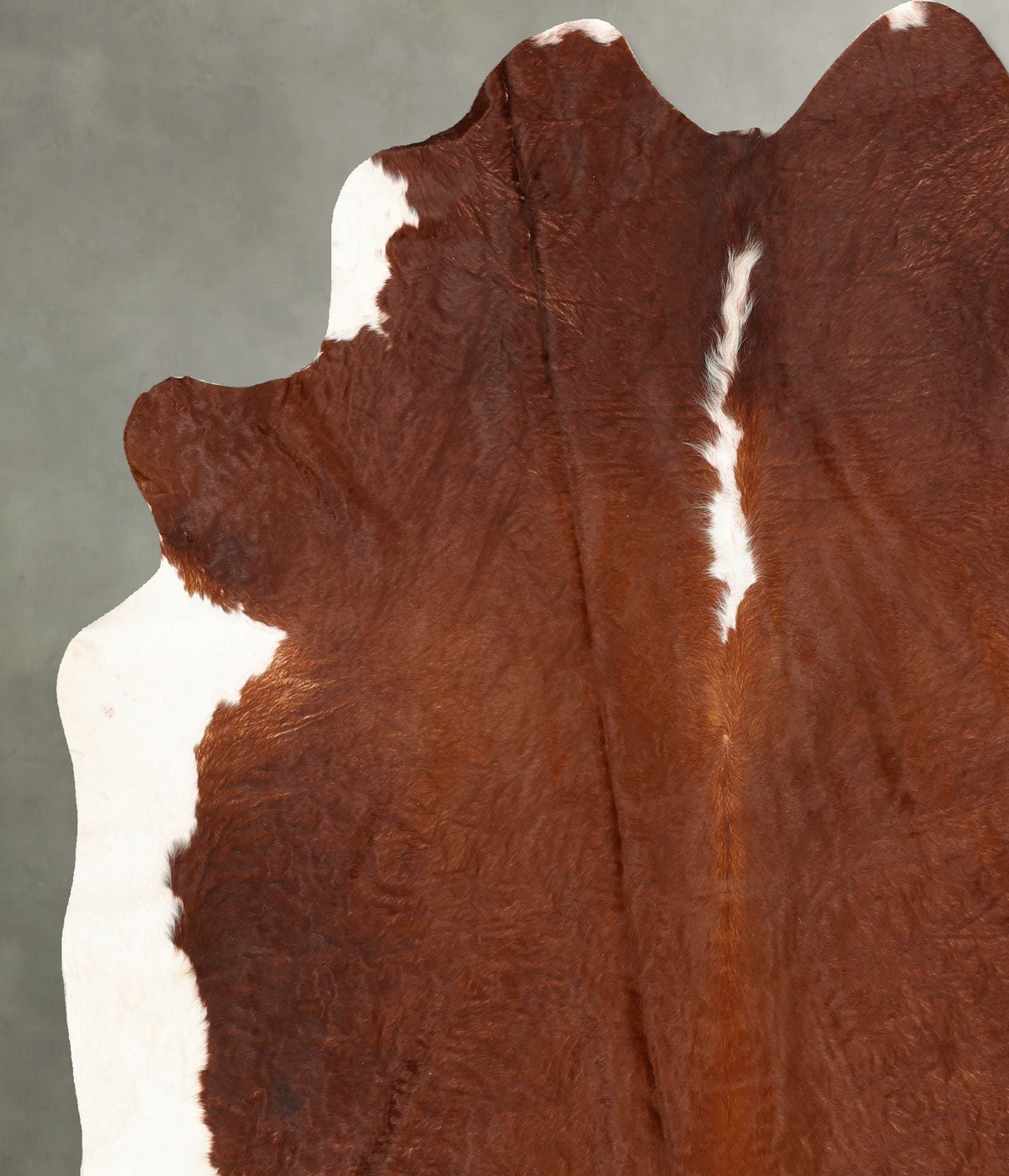 Brown and White Regular X-Large Brazilian Cowhide Rug 7'6"H x 6'7"W #B30436 by Hudson Hides