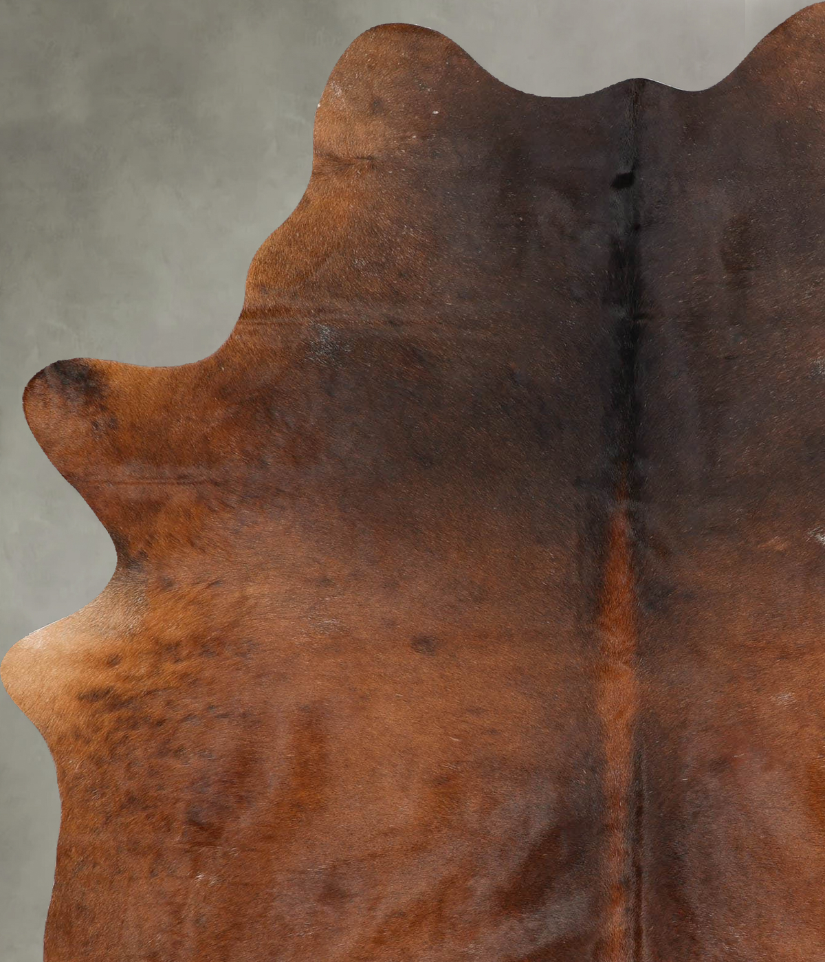 Warm Caramel Large Brazilian Cowhide Rug 7'4"H x 5'3"W #B30444 by Hudson Hides