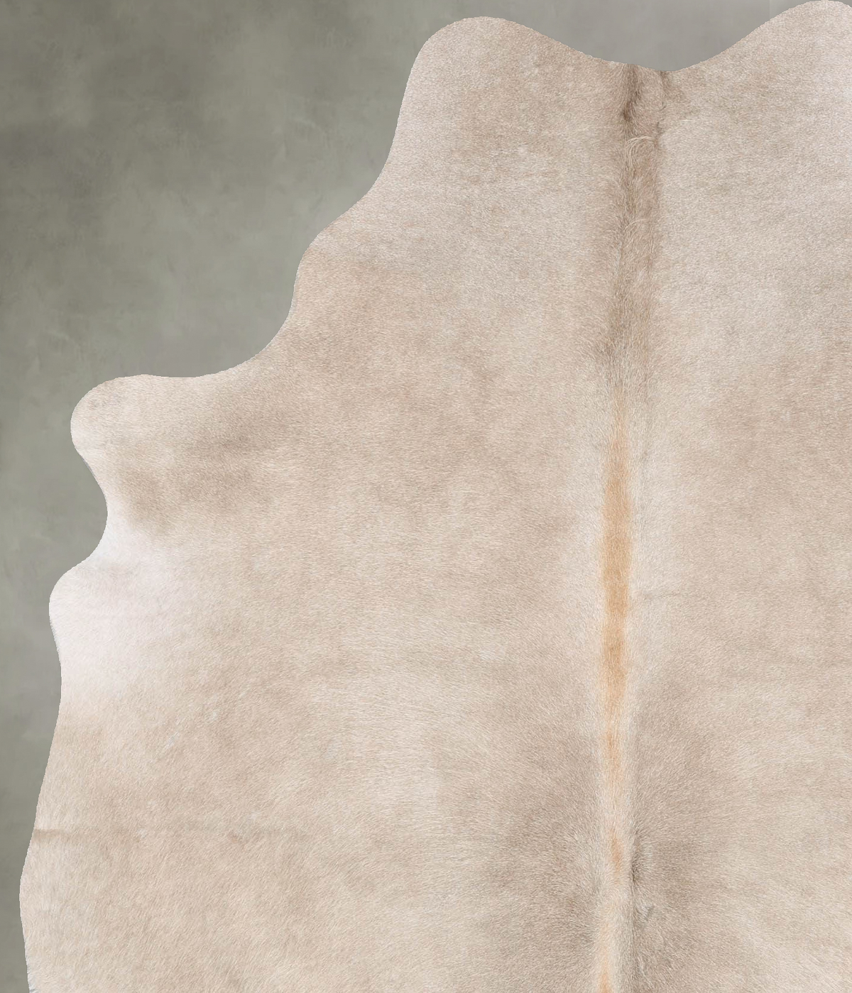 Taupe Large Brazilian Cowhide Rug 6'11"H x 5'7"W #B30445 by Hudson Hides
