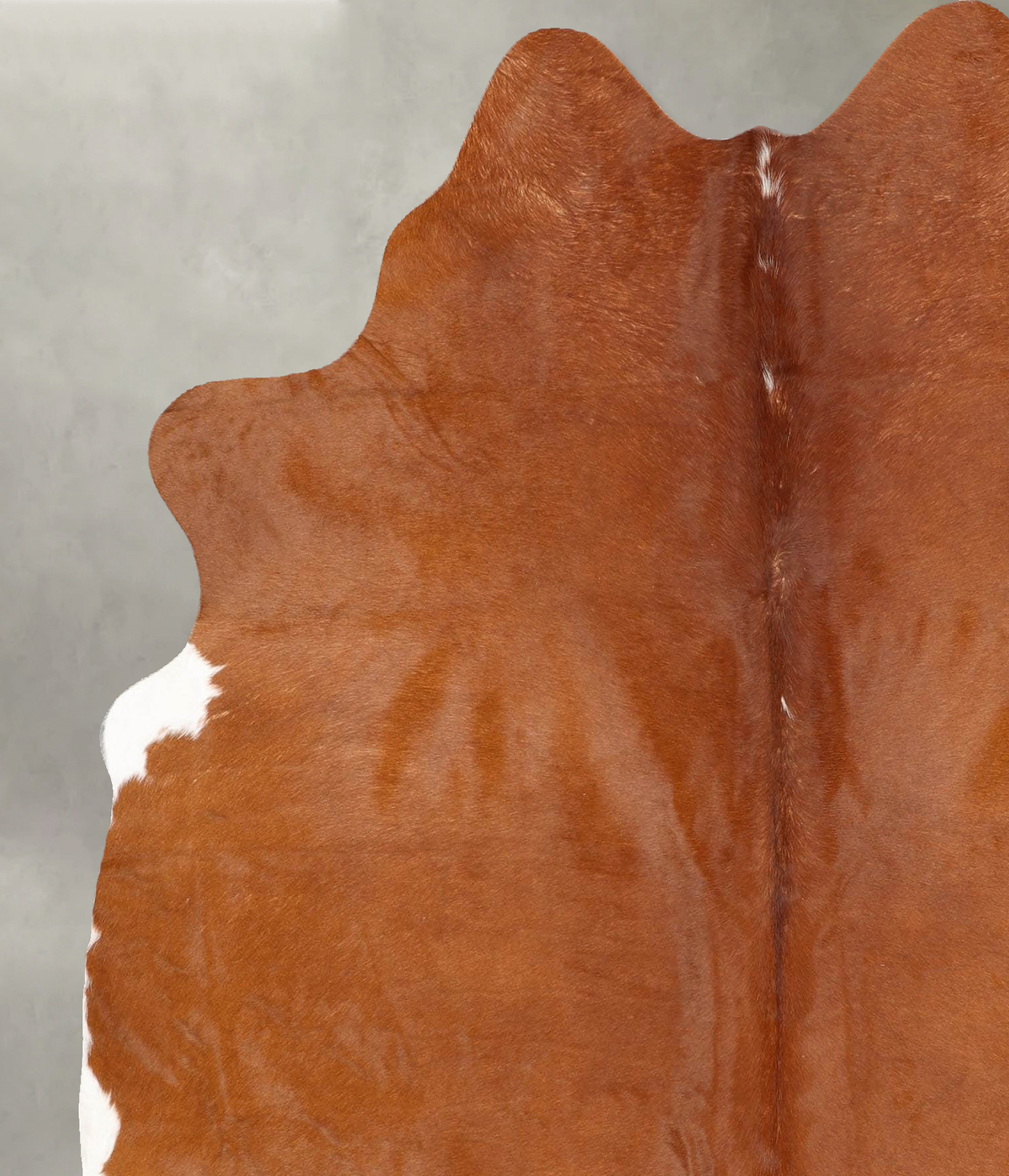 Solid Brown Large Brazilian Cowhide Rug 6'9"H x 5'11"W #B30451 by Hudson Hides