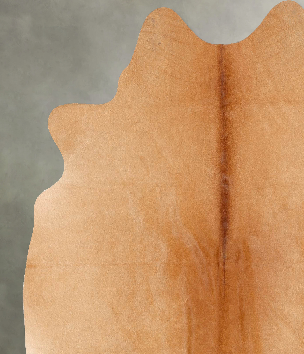 Solid Brown Large Brazilian Cowhide Rug 6'1"H x 5'5"W #B30452 by Hudson Hides