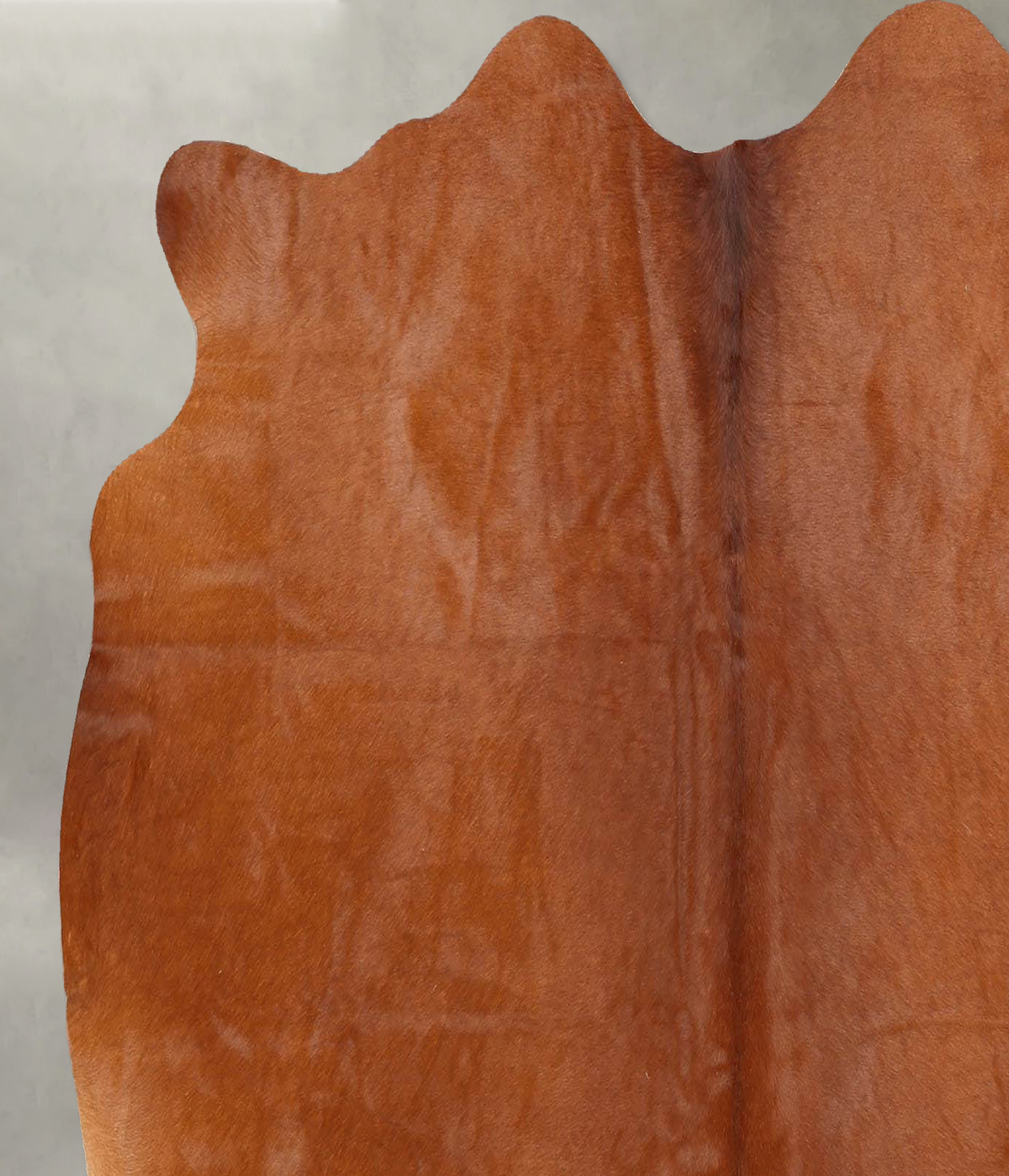 Solid Brown Medium Brazilian Cowhide Rug 5'0"H x 5'5"W #B30453 by Hudson Hides