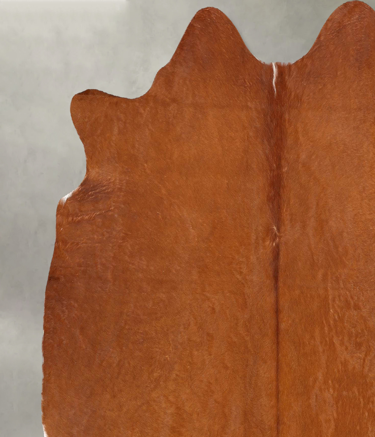 Solid Brown Large Brazilian Cowhide Rug 6'0"H x 5'10"W #B30454 by Hudson Hides
