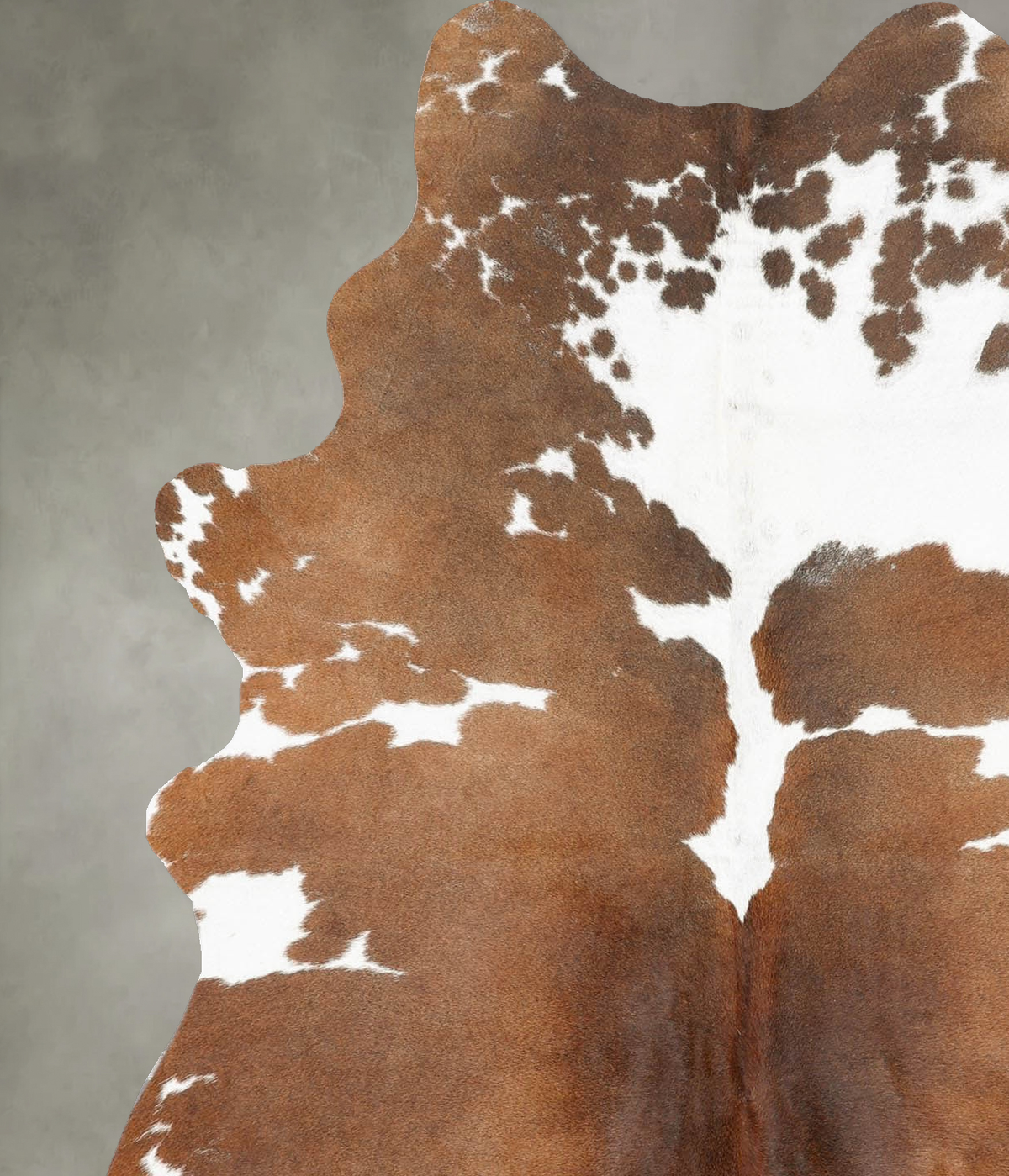 Brown and White Medium Brazilian Cowhide Rug 6'1"H x 4'9"W #B30457 by Hudson Hides