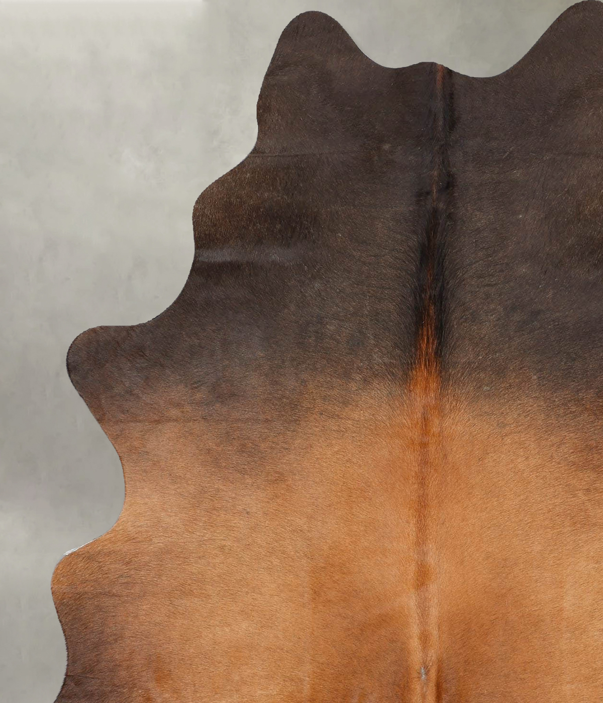 Warm Caramel Large Brazilian Cowhide Rug 6'4"H x 4'11"W #B30458 by Hudson Hides