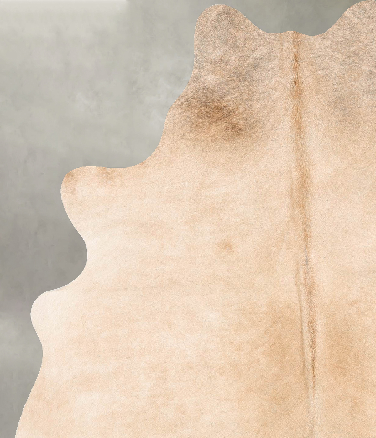 Beige Medium Brazilian Cowhide Rug 6'2"H x 4'10"W #B30460 by Hudson Hides
