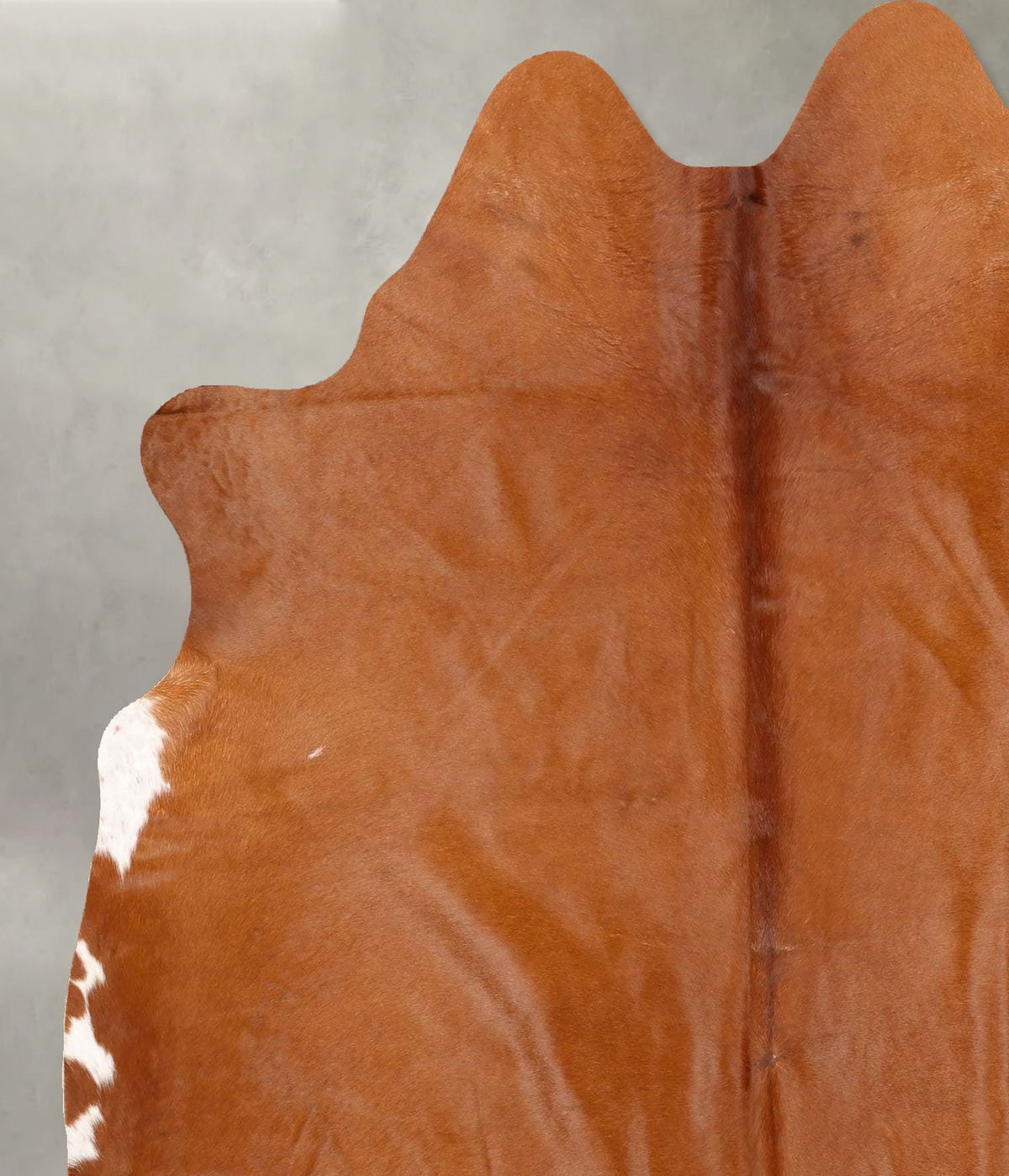 Solid Brown Large Brazilian Cowhide Rug 6'7"H x 5'11"W #B30461 by Hudson Hides