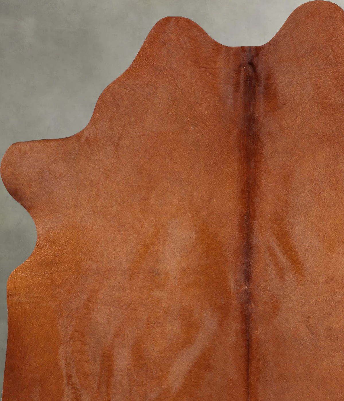 Solid Brown Large Brazilian Cowhide Rug 6'2"H x 5'2"W #B30462 by Hudson Hides