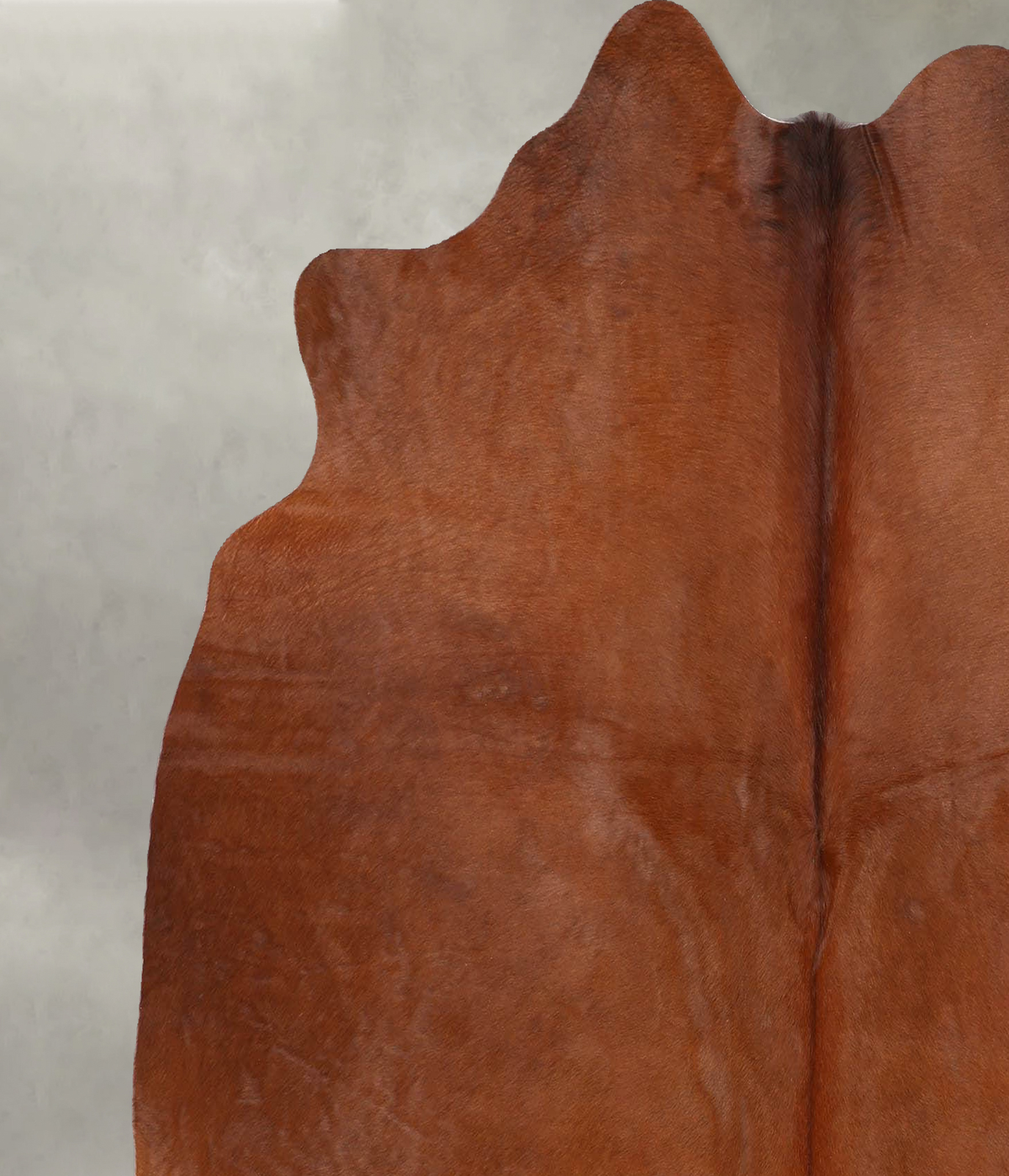 Solid Brown Large Brazilian Cowhide Rug 6'0"H x 5'8"W #B30463 by Hudson Hides