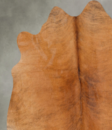 Medium Brindle Large Brazilian Cowhide Rug 6'1"H x 6'0"W #B30464 by Hudson Hides