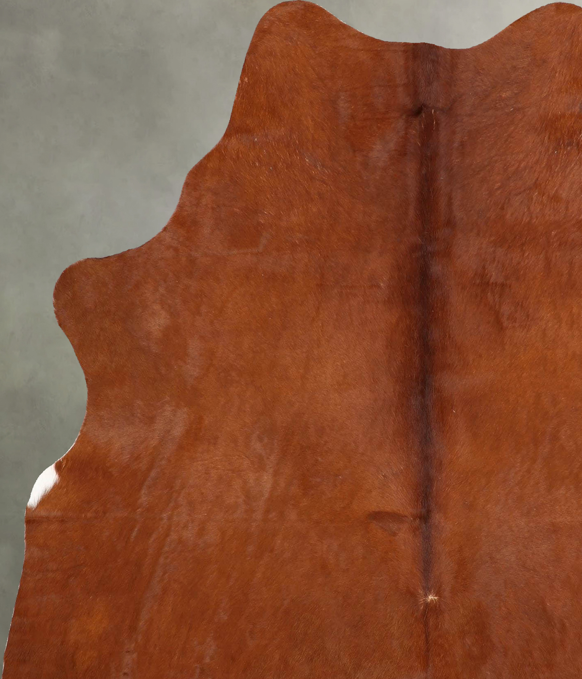 Solid Brown Large Brazilian Cowhide Rug 6'8"H x 5'7"W #B30465 by Hudson Hides