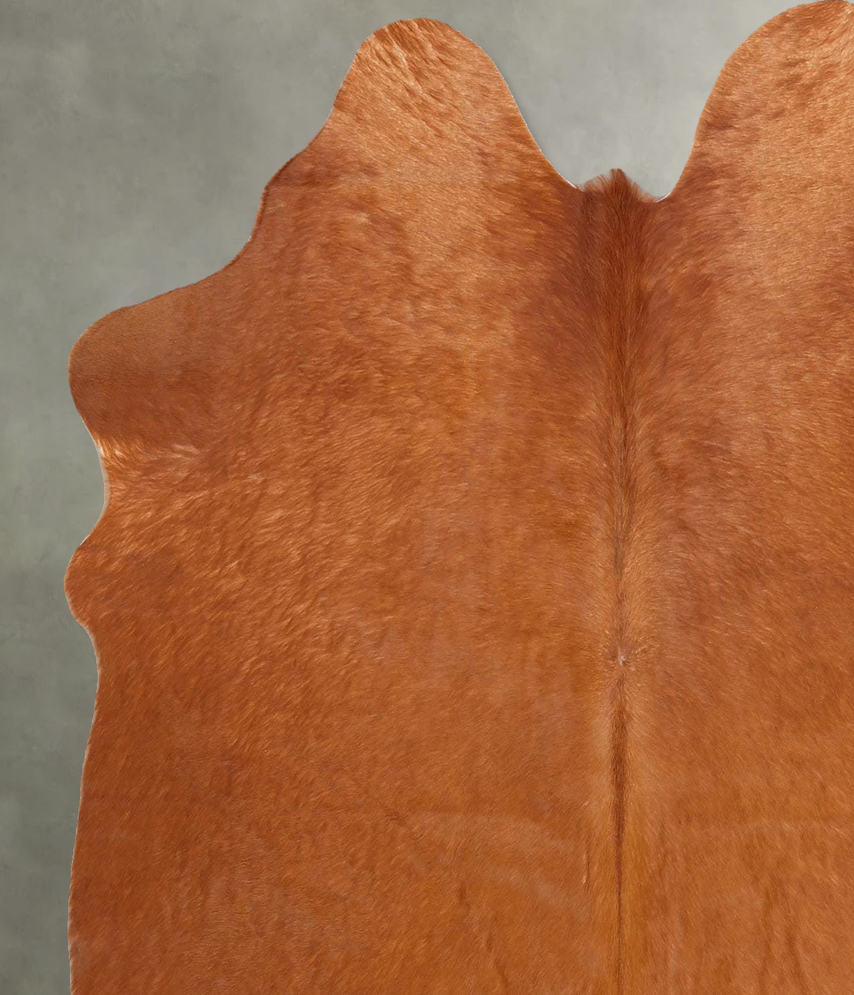 Solid Brown Large Brazilian Cowhide Rug 6'0"H x 5'4"W #B30466 by Hudson Hides