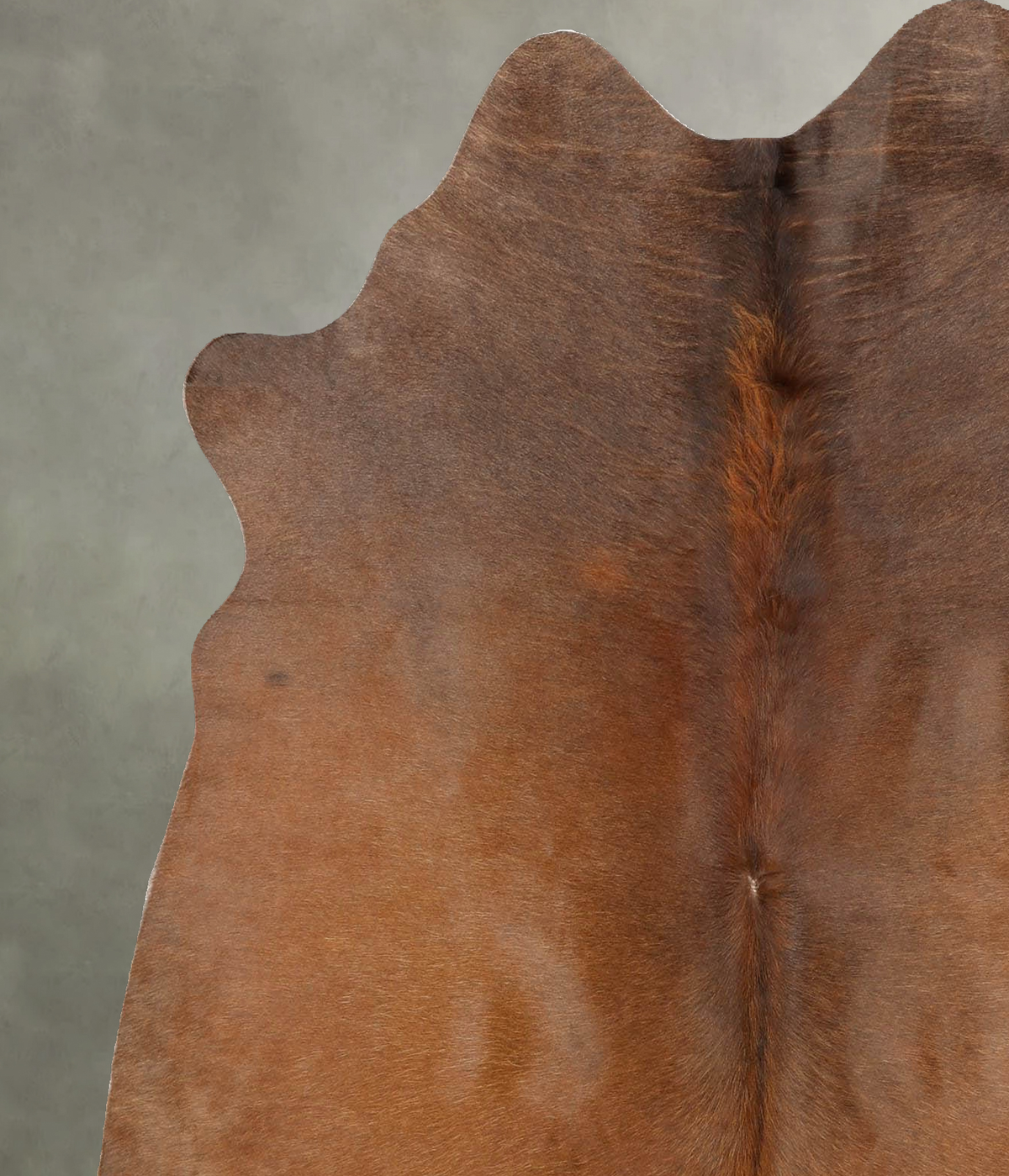 Solid Brown Medium Brazilian Cowhide Rug 5'9"H x 5'3"W #B30470 by Hudson Hides