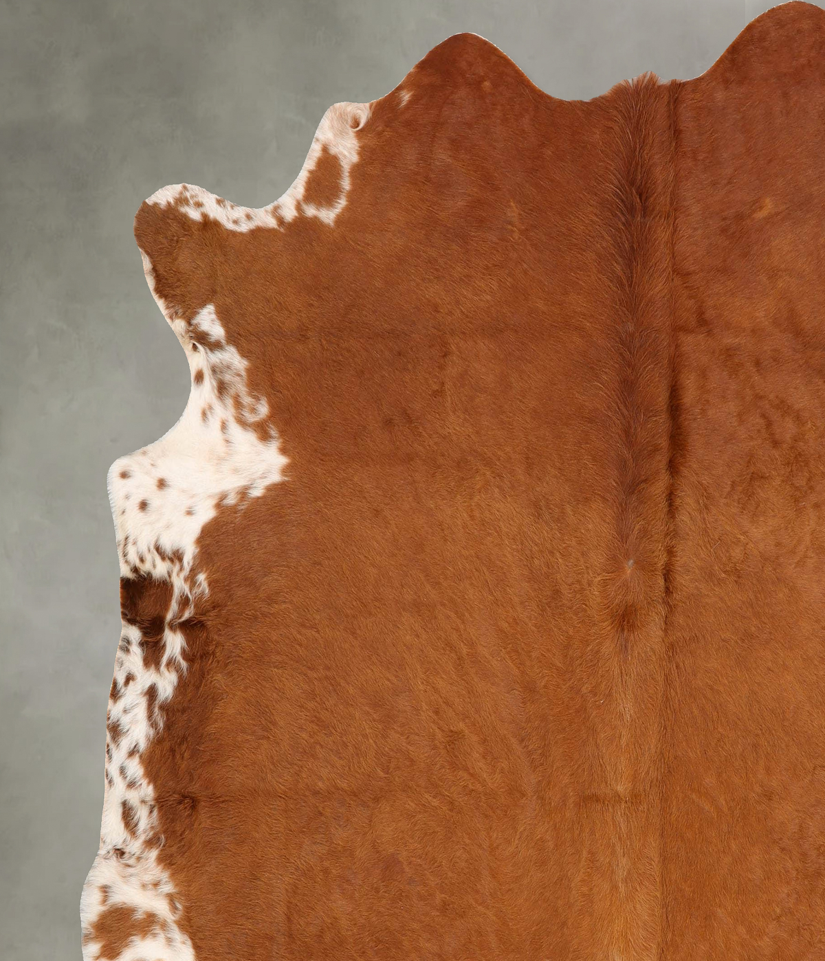 Brown and White Regular XX-Large Brazilian Cowhide Rug 7'7"H x 7'2"W #B30480 by Hudson Hides