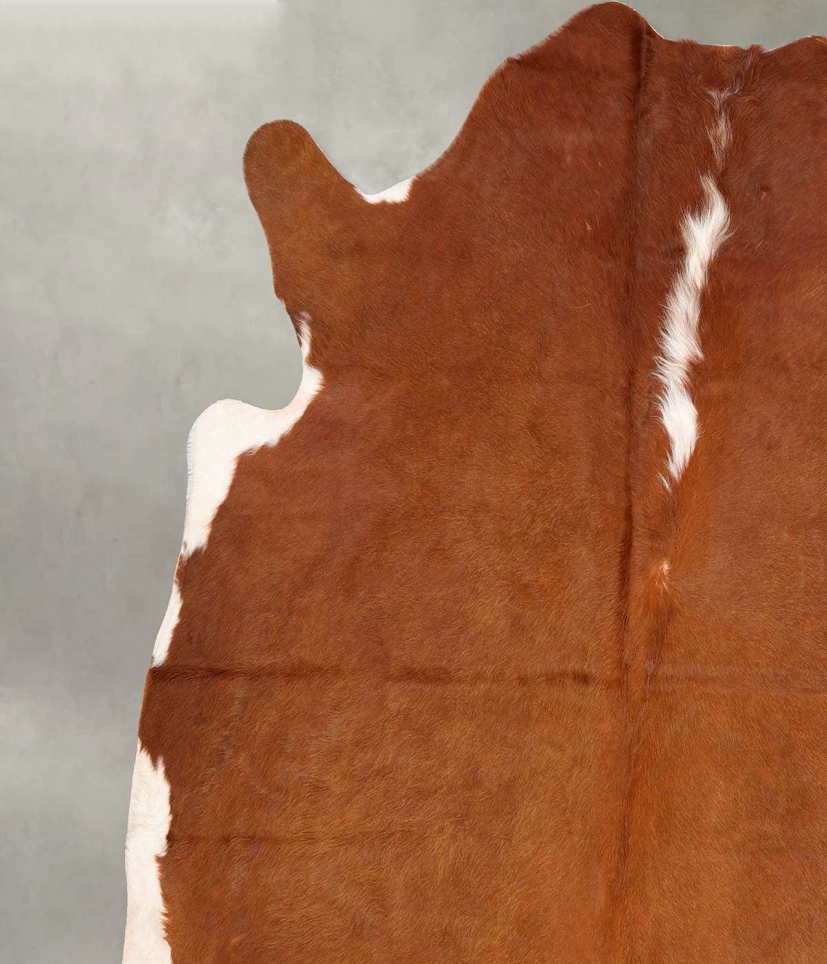 Brown and White Regular XX-Large Brazilian Cowhide Rug 7'6"H x 7'0"W #B30481 by Hudson Hides