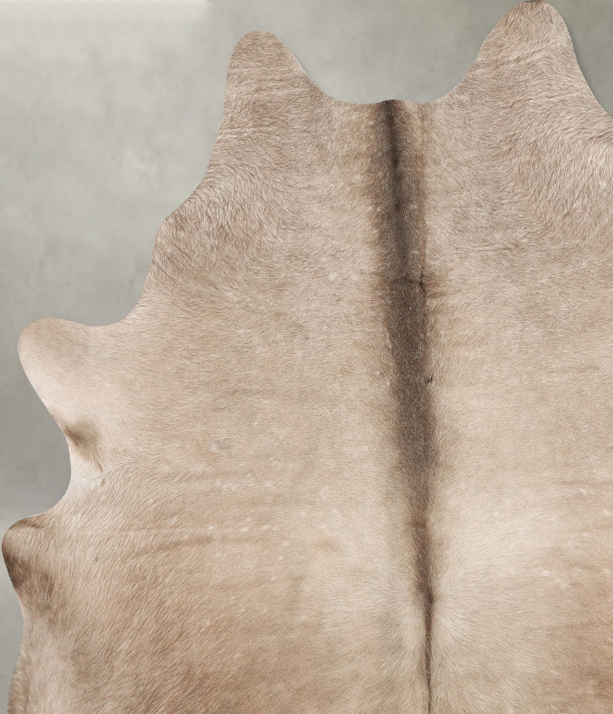Taupe X-Large Brazilian Cowhide Rug 7'2"H x 5'11"W #B30484 by Hudson Hides