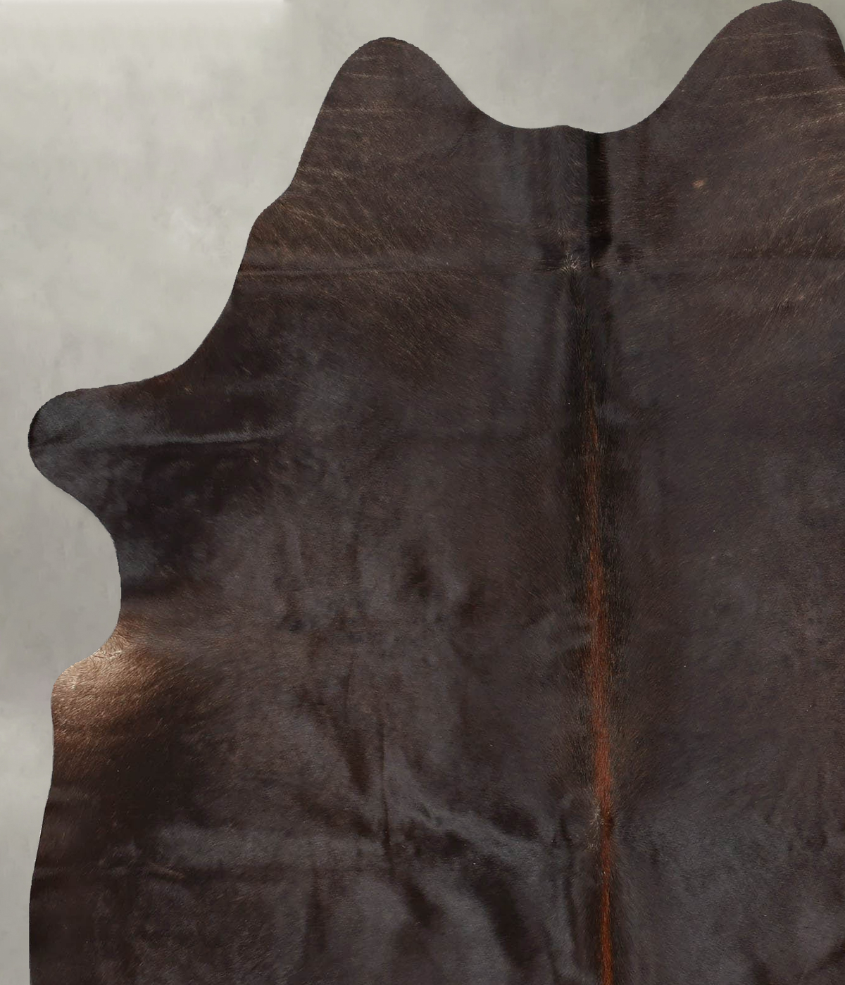 Chocolate Large Brazilian Cowhide Rug 6'9"H x 5'4"W #B30487 by Hudson Hides