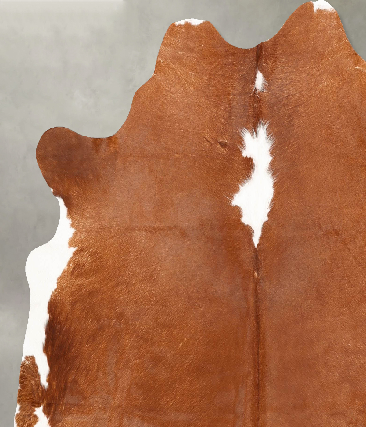 Brown and White Regular X-Large Brazilian Cowhide Rug 6'7"H x 6'2"W #B30491 by Hudson Hides