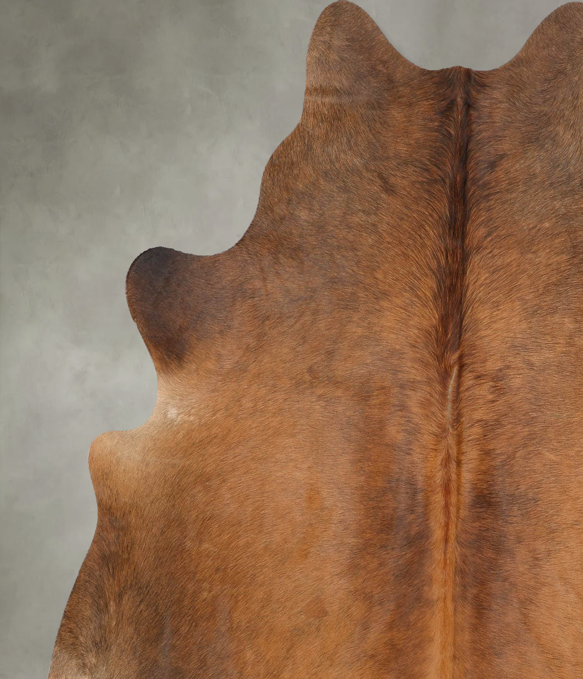Warm Caramel Large Brazilian Cowhide Rug 6'2"H x 5'10"W #B30493 by Hudson Hides